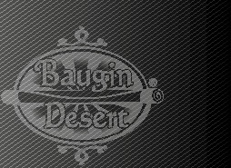 Baugin - logo